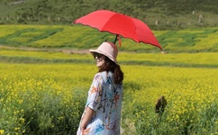 欧美人做人爱A全程免费